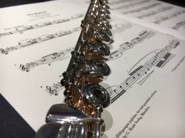 las partes de una flauta