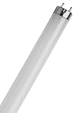 Osram L58W/840 - Lámpara (58W, G13, 5200 lm, A, 50 Hz, 150 cm) Color blanco