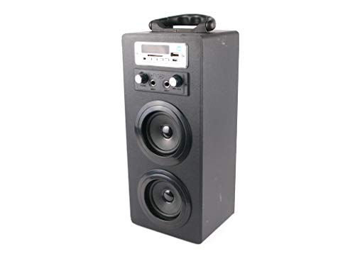 NK NK-MT3242-BT - Mini Torre de Sonido - Micrófono Karaoke, Bluetooth, Mando a Distancia, Doble Entrada Micrófonos, AUX, USB, DC5V, Pantalla, Negro