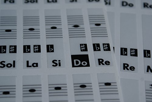 Piano teclado música Nota pegatinas etiquetas transparent Do-Re-Mi-Fa-Sol-La-Si