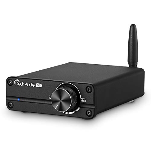 Douk Audio G5 - Amplificador de potencia digital (Hi-Fi, Bluetooth 5.0, Mini Class D, estéreo), color negro