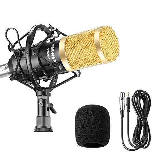 Neewer NW-800 Studio - Micrófono de Condensador Profesional y micrófono con absorción de sacudidas, Tipo de Bola y Cable de alimentación para micrófono
