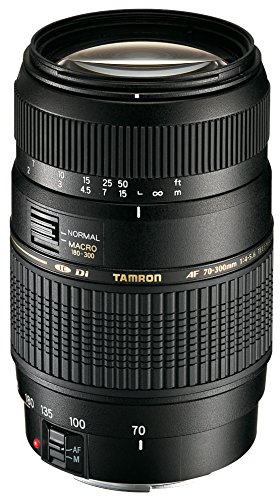 Tamron A17E - Objetivo para Canon (70-300 mm, f/4-5.6, Macro, AF, 62 mm), color negro