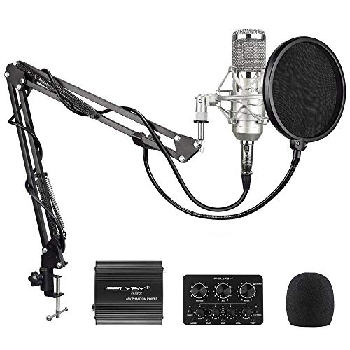 FELYBY - Micrófono de condensador de grabación, kit de micrófono cardioide profesional, micrófono con cable XLR para cantar/Youtube/streaming/podcasting/Zoom Meeting (plata)